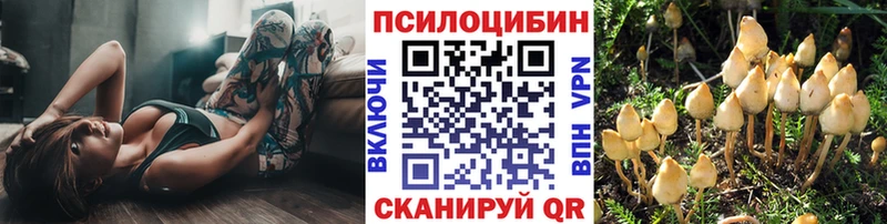 где найти наркотики  Гаджиево  Псилоцибиновые грибы ЛСД 